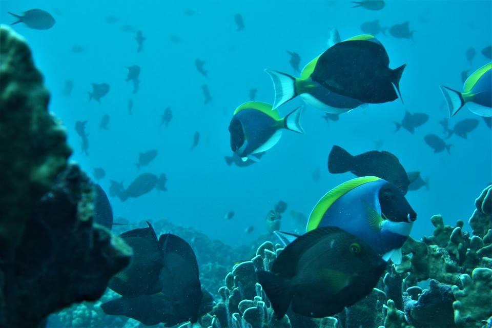 Pulau Weh Paradise Sabang  Εξωτερικό φωτογραφία
